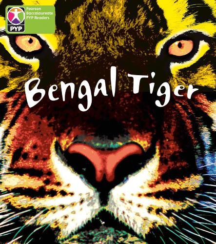 Cover image for Primary Years Programme Level 4 Save Bengal Tiger 6Pack