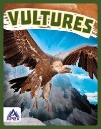 Cover image for Birds of Prey: Vultures