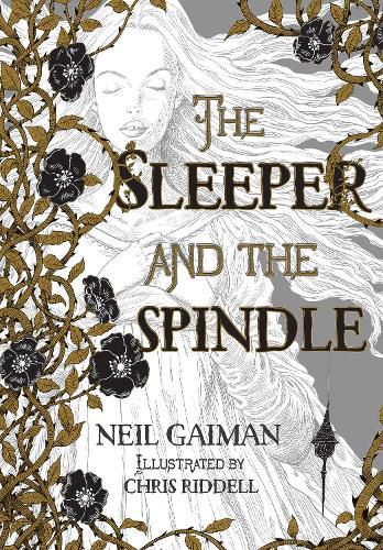 Cover image for The Sleeper and the Spindle