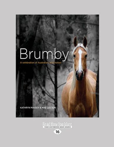 Cover image for Brumby: A Celebration of Australia's Wild Horses