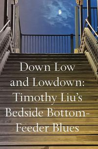 Cover image for Down Low and Lowdown: Timothy Liu's Bedside Bottom-Feeder Blues