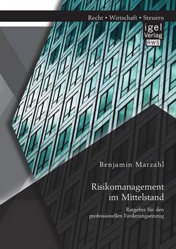 Cover image for Risikomanagement im Mittelstand: Ratgeber fur den professionellen Forderungseinzug