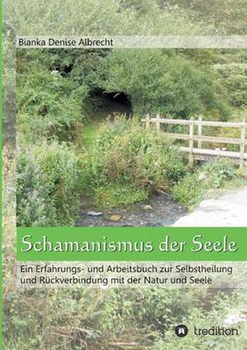 Cover image for Schamanismus der Seele: Ein Erfahrungs- und Arbeitsbuch zur Selbstheilung und Ruckverbindung mit der Natur und Seele