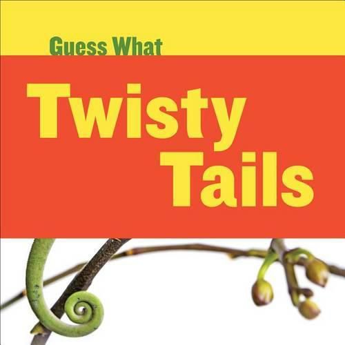 Cover image for Twisty Tails: Chameleon