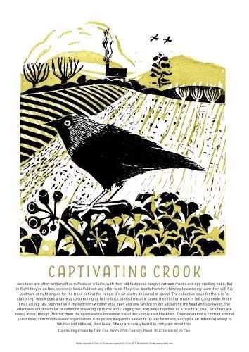 Cover image for Tom Cox's 21st Century Yokel Poster - Captivating Crook