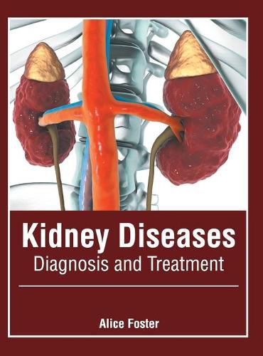 Cover image for Kidney Diseases: Diagnosis and Treatment