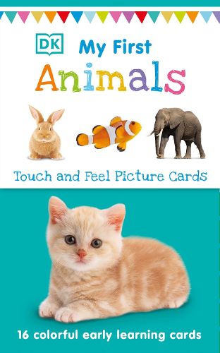 Cover image for My First Touch and Feel Picture Cards: Animals