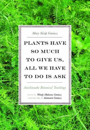 Cover image for Plants Have So Much to Give Us, All We Have to Do Is Ask: Anishinaabe Botanical Teachings