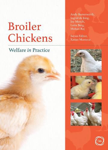 Cover image for Broiler Chickens Welfare in Practice