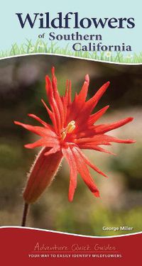 Cover image for Wildflowers of Southern California: Your Way to Easily Identify Wildflowers