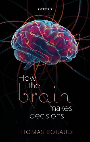 Cover image for How the Brain Makes Decisions