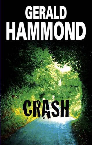 Cover image for Crash