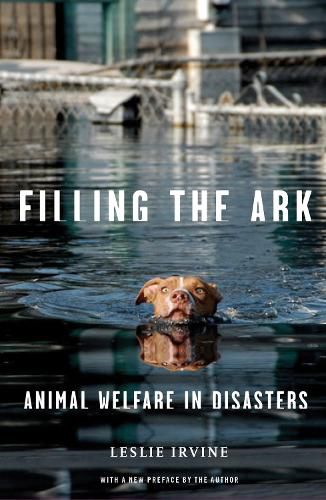 Cover image for Filling the Ark: Animal Welfare in Disasters