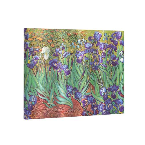 Cover image for Van Gogh's Irises Unlined Guest Book