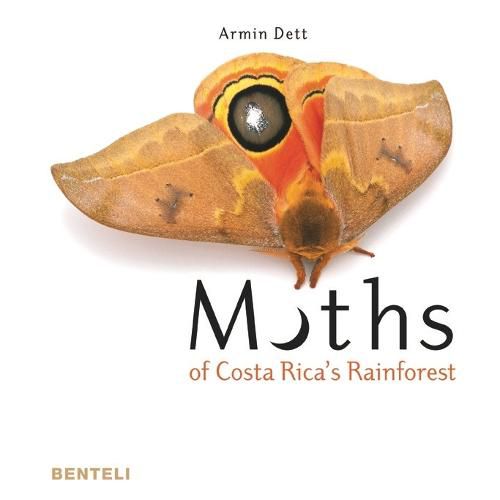 Cover image for Moths of Costa Rica's Rainforest