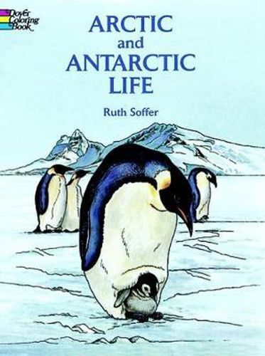 Cover image for Arctic and Antarctic Life Coloring Book