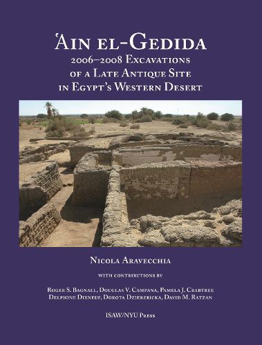 'Ain el-Gedida: 2006-2008 Excavations of a Late Antique Site in Egypt's Western Desert (Amheida IV)