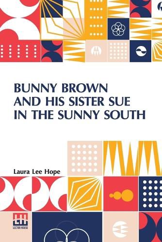 Bunny Brown And His Sister Sue In The Sunny South