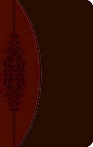 Cover image for CEB Wesley Study Bible, DecoTone