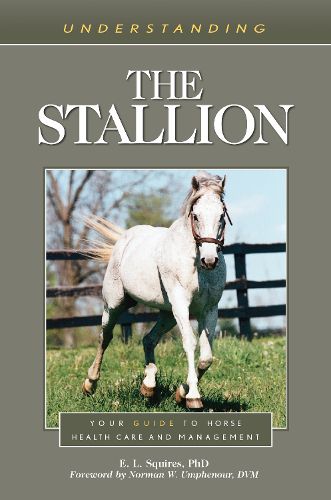 Cover image for Understanding the Stallion