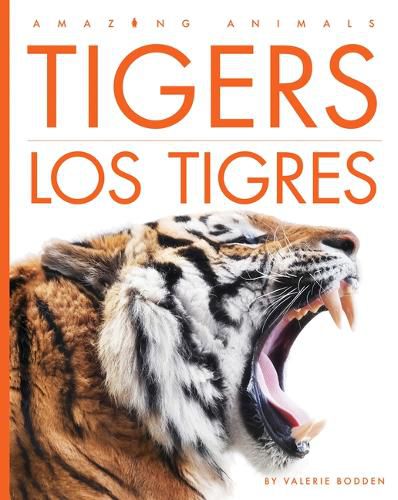 Cover image for Tigers / Los Tigres