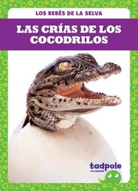 Cover image for Las Crias de Los Cocodrilos (Crocodile Hatchlings)