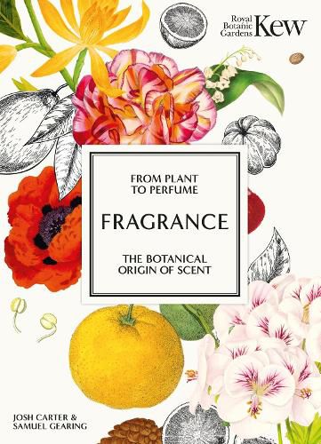 Cover image for Kew - Fragrance