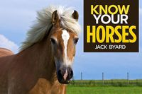 Cover image for Know Your Horses