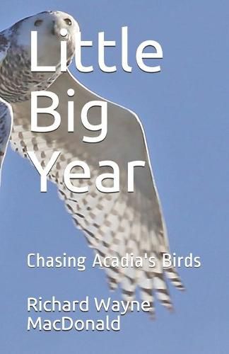 Cover image for Little Big Year: Chasing Acadia's Birds