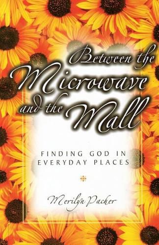 Cover image for Between the Microwave and the Mall: Finding God in Everyday Places