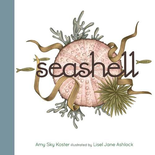 Cover image for Seashell