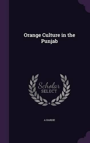 Cover image for Orange Culture in the Punjab