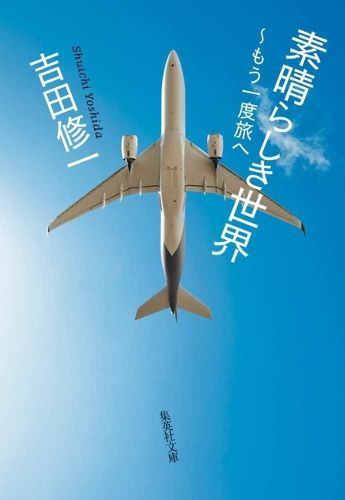 Cover image for The Wonderful World - Back on Another Journey