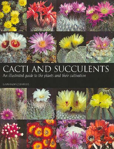 Cover image for Cacti and Succulents: An Illustrated Guide to the Plants and Their Cultivation