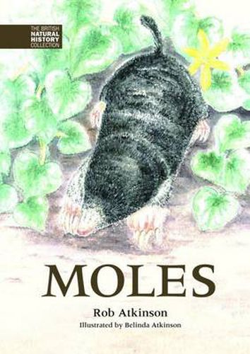 Cover image for Moles