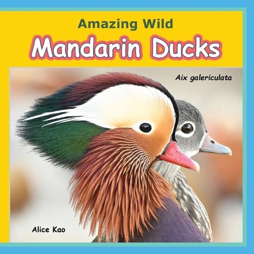Cover image for Amazing Wild Mandarin Ducks