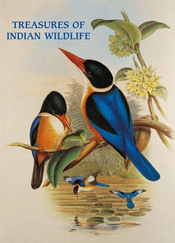 Cover image for Treasures of Indian Wildlife