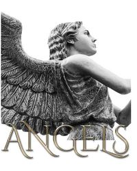 Cover image for Angel Journal