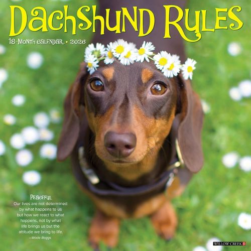 Cover image for Dachshund Rules 2026 12 X 12 Wall Calendar