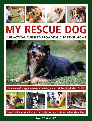 Rescue Dogs: A Practical Guide for Owners: The complete guide to adopting and caring for a rehomed dog