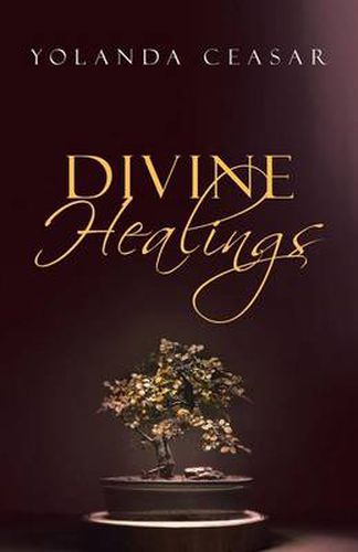 Cover image for Divine Healings