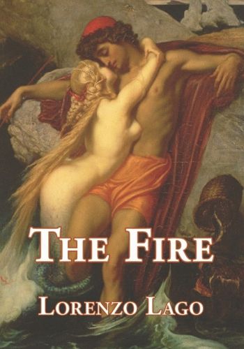 Cover image for The Fire