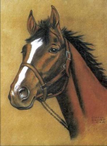 Cover image for Horse Notebook