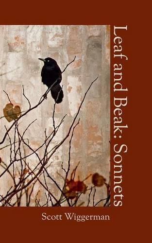 Cover image for Leaf and Beak: Sonnets