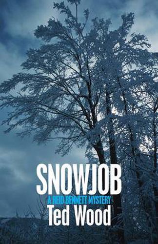Cover image for Snowjob