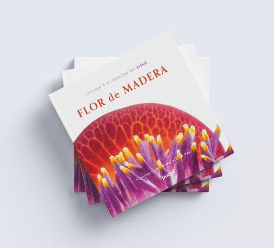 Cover image for Flor de Madera: A Journey Into the Intimacy of the Tree