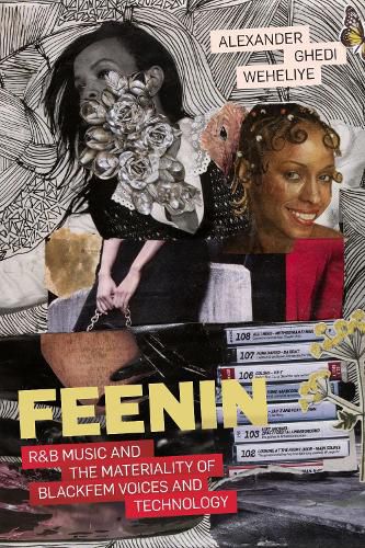 Cover image for Feenin