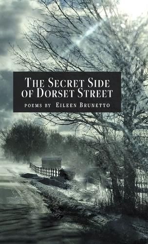 Cover image for The Secret Side of Dorset Street