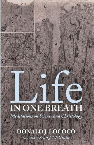 Cover image for Life in One Breath