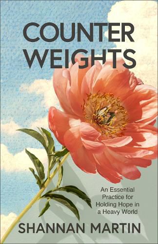 Cover image for Counterweights